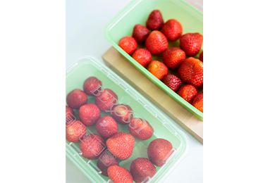 Контейнер для заморозки Ziр (киви) kiwi